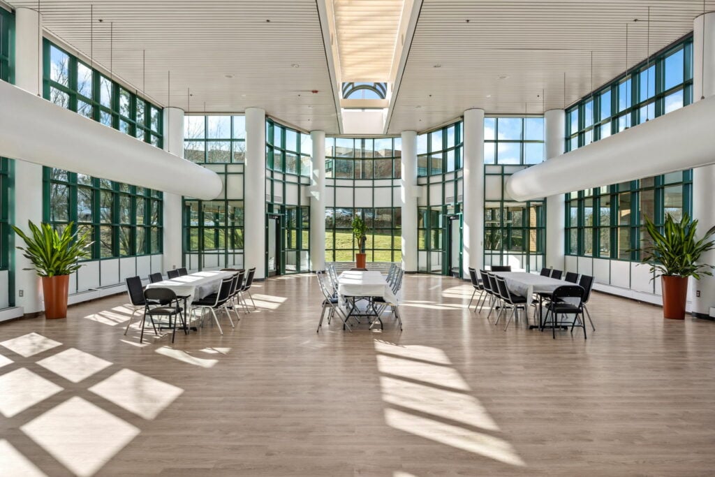 Gallery Image.