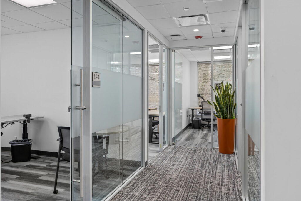 Gallery Image.